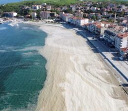 Marmara Denizi’nde müsilaj tehlikesi! Su sıcaklığı 2,5 derece arttı