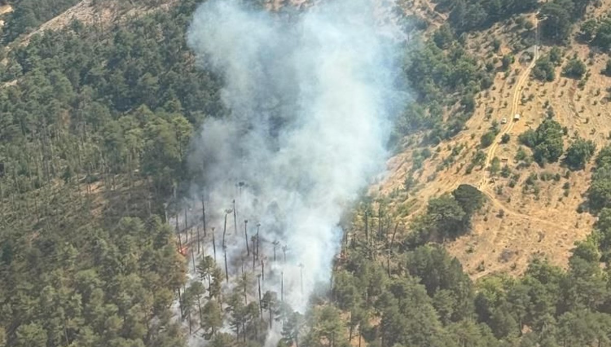 Aydın ve Malatya’da orman yangını