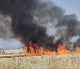 Diyarbakır’da çıkan anız yangını söndürüldü