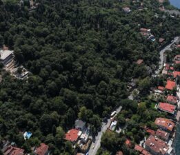 İstanbul Boğazı sırtlarındaki kaçak villa hakkında yeni gelişme: Bakanlıktan Vaniköy’deki villa için iki ayrı suç duyurusu