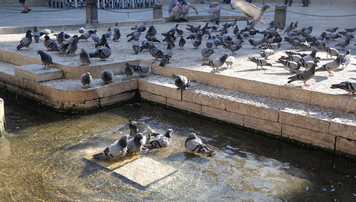 Şanlıurfa’da termometreler 41 dereceyi gördü