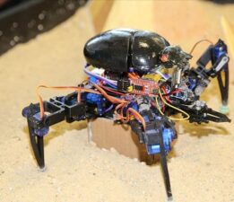 15. Uluslararası MEB Robot Yarışması başvuruları başladı