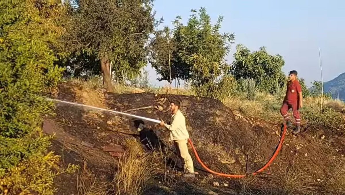 Denizli’de çıkan yangın ormana sıçramadan söndürüldü