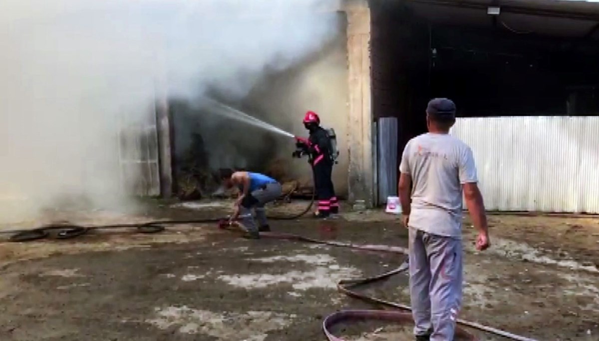 Sakarya’da 2 ahır ve 2 samanlık alevlere teslim oldu: 1 yaralı