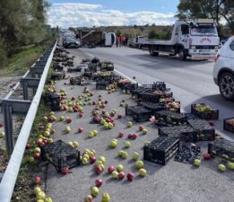 Samsun-Ankara kara yolu kitlendi: Yere elmalar saçıldı