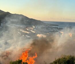 Alanya’da avokado bahçesinde yangın: 60 ağaç kül oldu