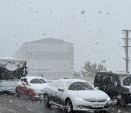 Bitlis’e mevsimin ilk karı yağdı