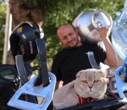 Konya’nın tüpçü kedisi! Bütün gün motosiklette sipariş dağıtıyorlar… “Ayrılamaz olduk”