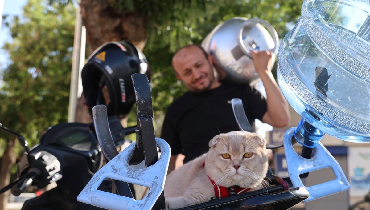 Konya’nın tüpçü kedisi! Bütün gün motosiklette sipariş dağıtıyorlar… “Ayrılamaz olduk”