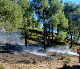 Mersin’de çıkan orman yangını kontrol altına alındı