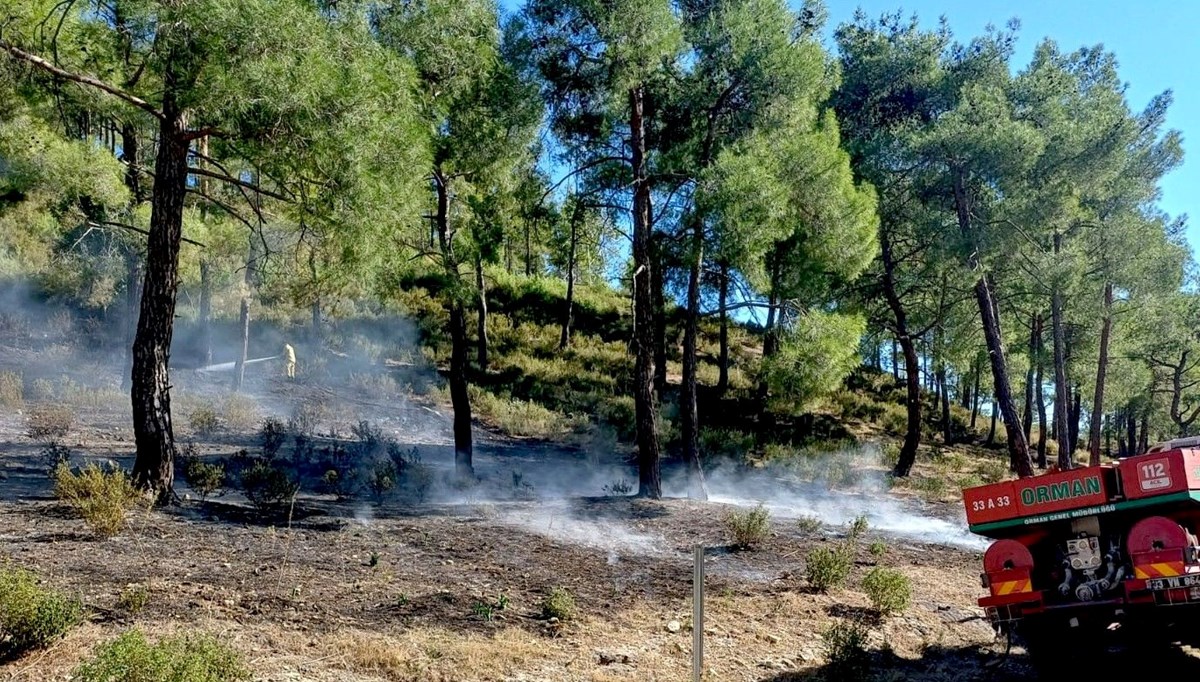 Mersin’de çıkan orman yangını kontrol altına alındı