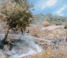 Alanya’da merada çıkan yangın kontrol altına alındı