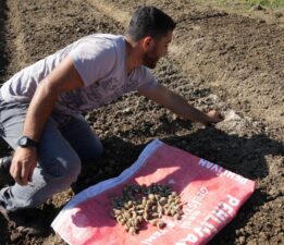 Çocukken yaylalarda topluyordu: Şimdi üreticisi oldu 800 bin lira gelir elde ediyor