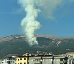 Kahramanmaraş’ta orman yangını