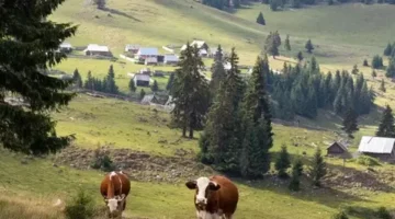 Bakanlık İmar Hakkı Aktarımı ile ilgili yeni düzenlemenin detaylarını duyurdu