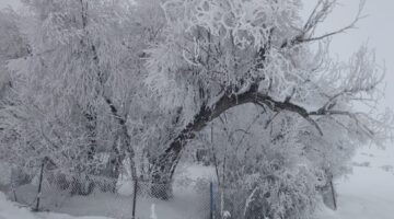 Erzurum’da soğuk hava etkili oluyor