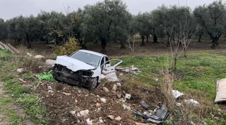 Kontrolden çıkıp tarlaya uçtu: 2 yaralı