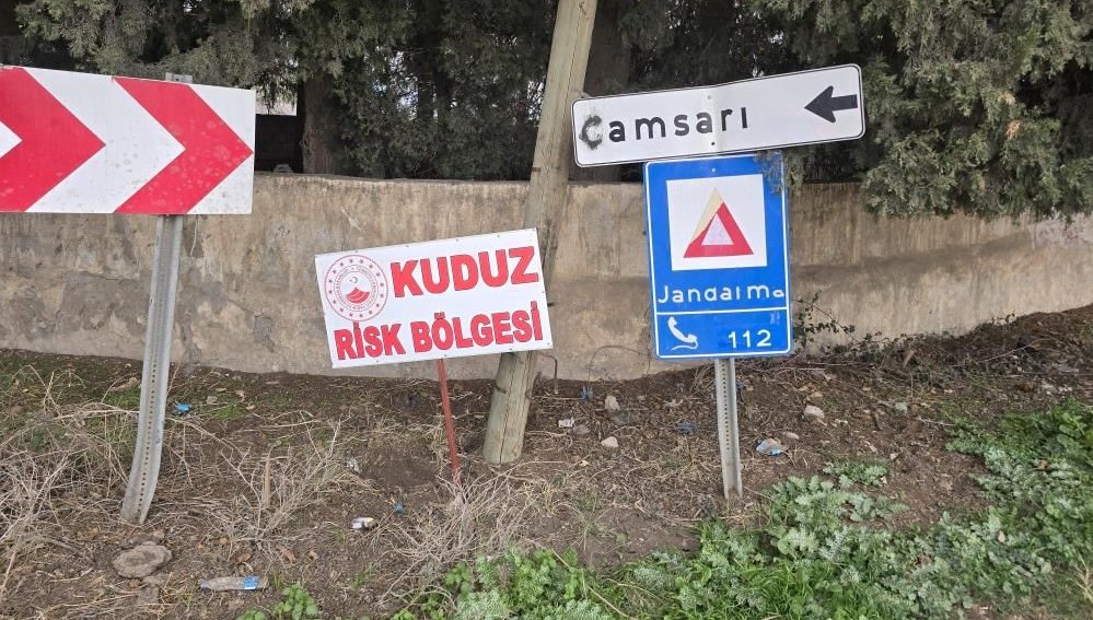 Hatay’da kuduz alarmı: Bir mahalle karantinaya alındı